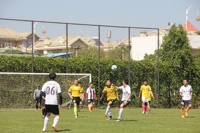 赵嘉义14+7青岛胜肯帝亚 齐麟16分新疆胜宁波